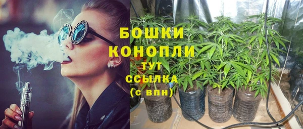 гидра Арсеньев