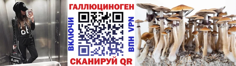 Псилоцибиновые грибы Magic Shrooms Аркадак